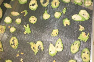 果蔬烘干過程中的營養變化規律